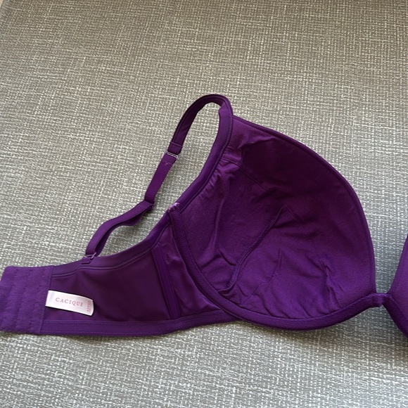 Cacique Padded Full Coverage Underwire Purple Bra size 40DDD - Picture 6 of 9